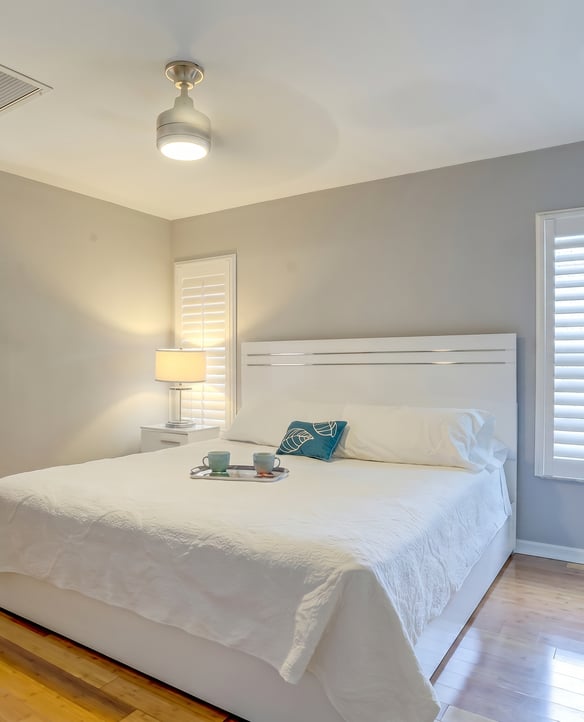 Spotless stays